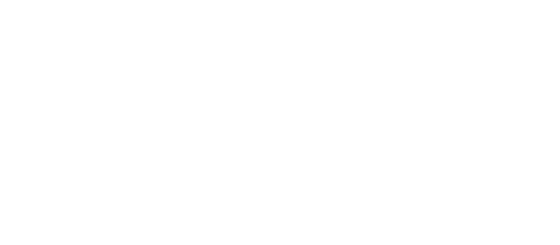 Dianenji Logo